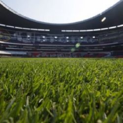 Lista la Fecha para el regreso del Césped Natural en el Azteca