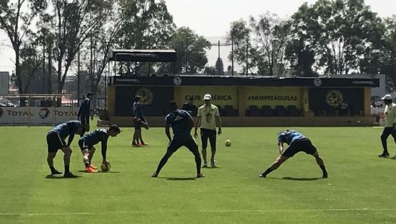 Darwin se Ausenta del Entrenamiento Azulcrema