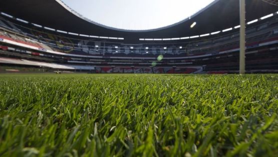 Las Ventajas del Nuevo Césped del Estadio Azteca