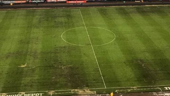 Encargado del Césped del Estadio Azteca responde a los Cuestionamientos