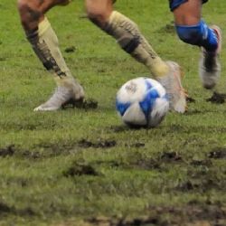 Comunicado Oficial Sobre el Estado del Césped del Azteca