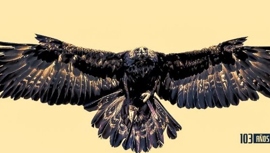 Equipos Europeos felicitan al América por su 103 Aniversario