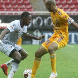 Renato Ibarra Regresa a Coapa