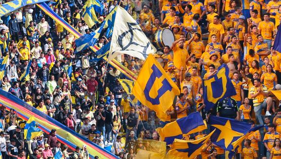Barra de Tigres anuncia invasión al Estadio Azteca y la barra del América responde