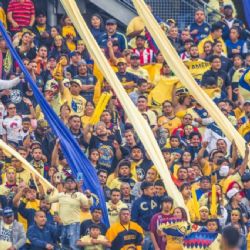 ¿Qué espera la afición del América al regresar de la Fecha FIFA?
