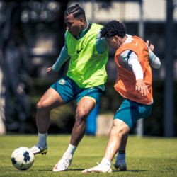 Oficial | Club América anuncia nuevo partido amistoso en Estados Unidos