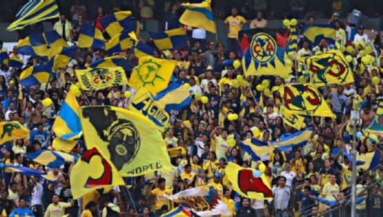 ¿Afición del América carece de identificación con el club?