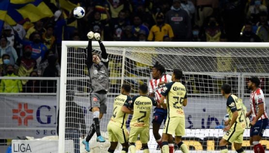Vídeo | Recordando las mejores atajadas de Guillermo Ochoa en su cumpleaños número 37