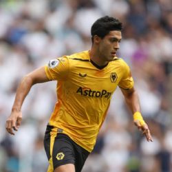 Raúl Jiménez fue perjudicado por el VAR en el Wolverhampton vs Newcastle