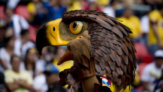 Club América sorprende a todos y da a conocer a su NUEVA MASCOTA