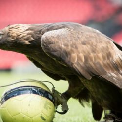 ¿Por qué la mascota del Club América es un Águila?