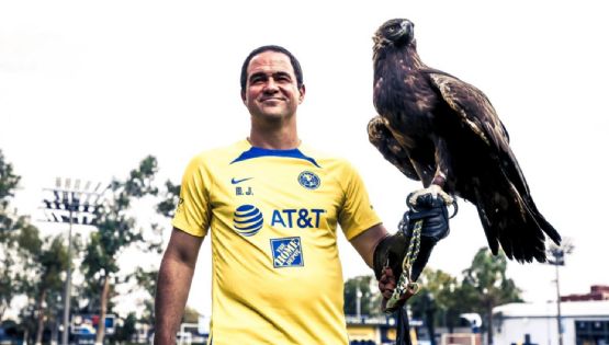 André Jardine rompe el silencio sobre los POSIBLES FICHAJES de Julián Quiñones y Gabriel Menino al Club América
