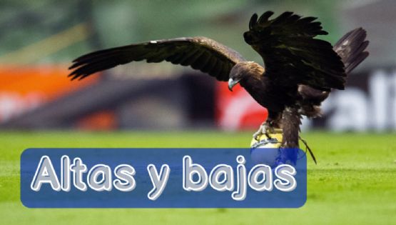 Actualización sobre las últimas ALTAS y BAJAS del Club América para el Apertura 2023