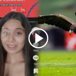 ¿Amor al Club América? Aguideame habla del FANATISMO de su familia a las Águilas y su POLÉMICO nombre