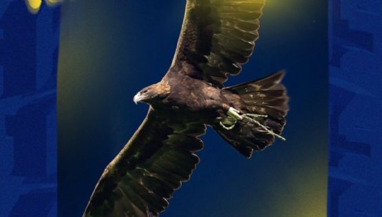 Afición del Club América explota contra anuncio de Tour Águila