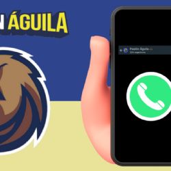 ¡Pasión Águila está en WhatsApp! Así puedes unirte al CANAL OFICIAL 