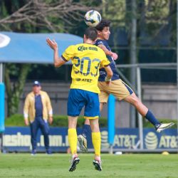 Llegó como refuerzo, no ha debutado pero tiene a todos impresionados en Coapa y está por debutar en el Club América