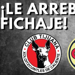 Los Xolos de Tijuana se apoderan de un DEFENSA CENTRAL que estuvo en la órbita del Club América