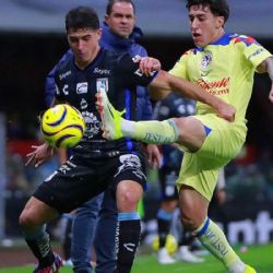 Dónde ver y qué canal transmite en VIVO Club América vs Querétaro por el Apertura 2024