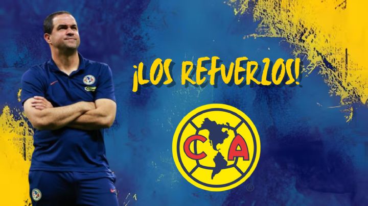 André Jardine opina sobre los ÚLTIMOS REFUERZOS del Club América