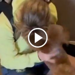 ¡Para llorar! Así fue el CONMOVEDOR REENCUENTRO de Sandra Paños con su perrito