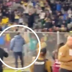 El VIRAL FESTEJO de André Jardine tras la victoria del Club América frente a Pumas