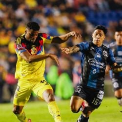 El inesperado premio que recibió el Club América por parte de la Liga MX